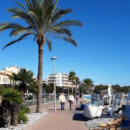 Studio Cosy Terrasse Front Mer カーニュ・シュル・メール エクステリア 写真